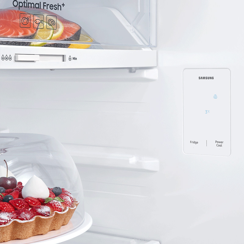 RÉFRIGÉRATEUR SAMSUNG RT31CG5000S9EL 305 LITRES NOFROST INOX