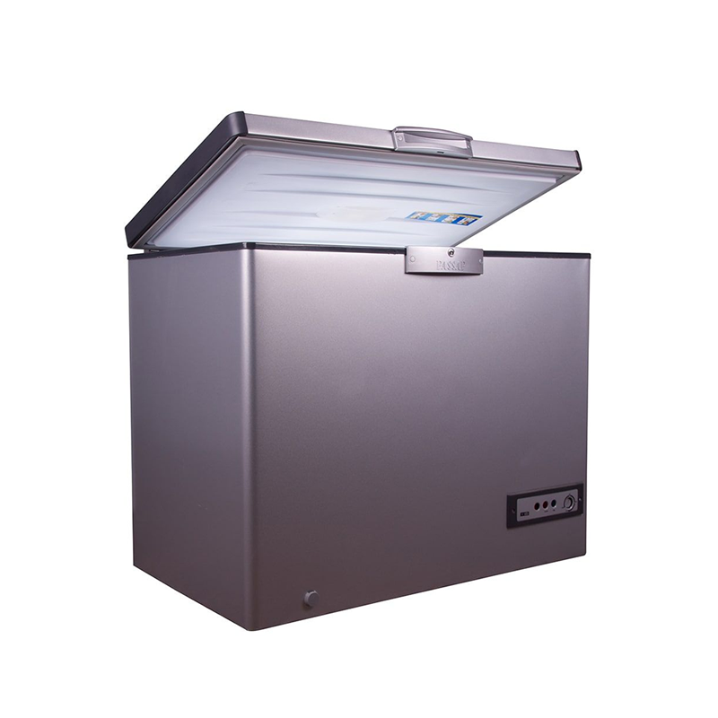 PASSAP CONGELATEUR CHEST FREEZER 500L ES571L